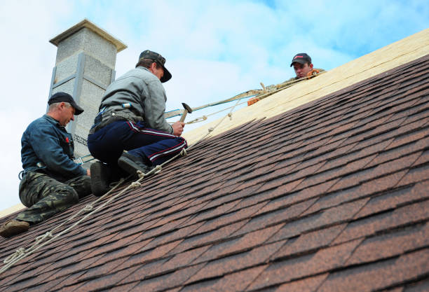 Best Local Roofing Companies  in Linglestown, PA